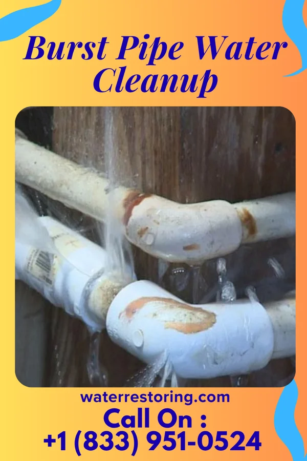 Burst Pipe Water Cleanup in South Corning, NY