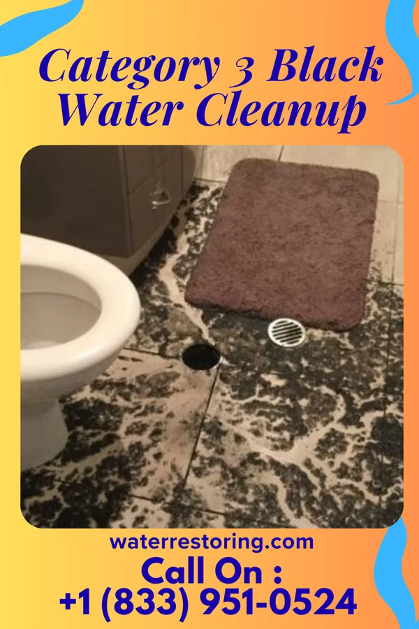 Category 3 Black Water Cleanup in South Corning, NY