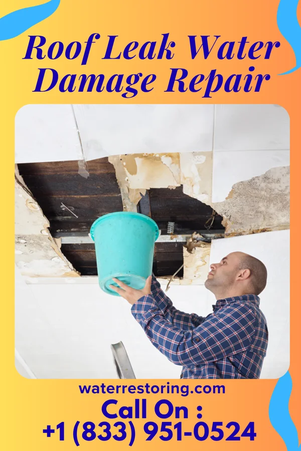 Roof Leak Water Damage Repair in South Corning, NY