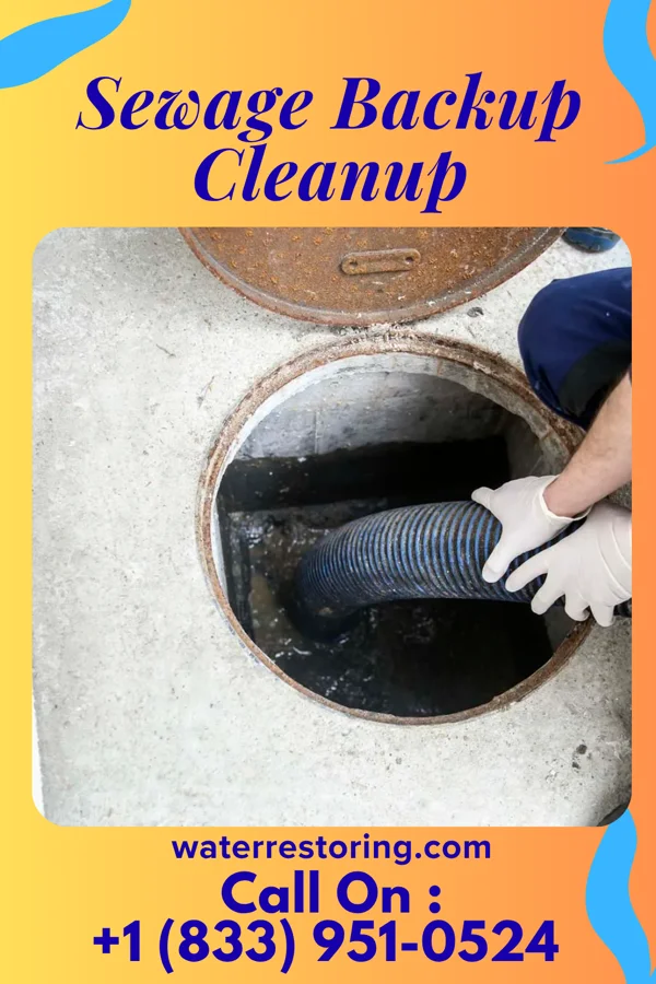 Sewage Backup Cleanup in South Corning, NY