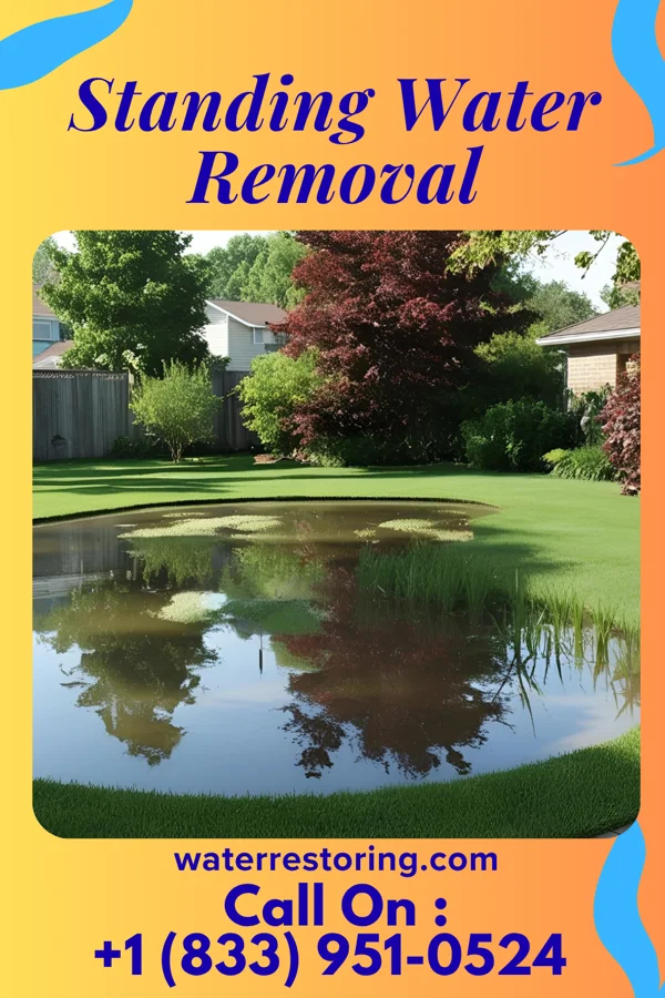 Standing Water Removal in South Corning, NY